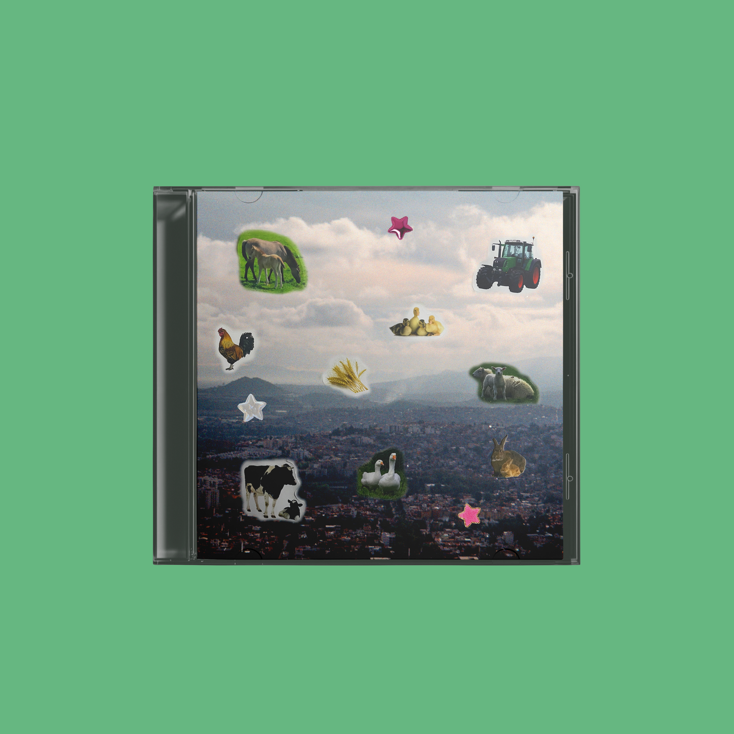 CD Flora y Fauna del Estado de México - Cacomixtle